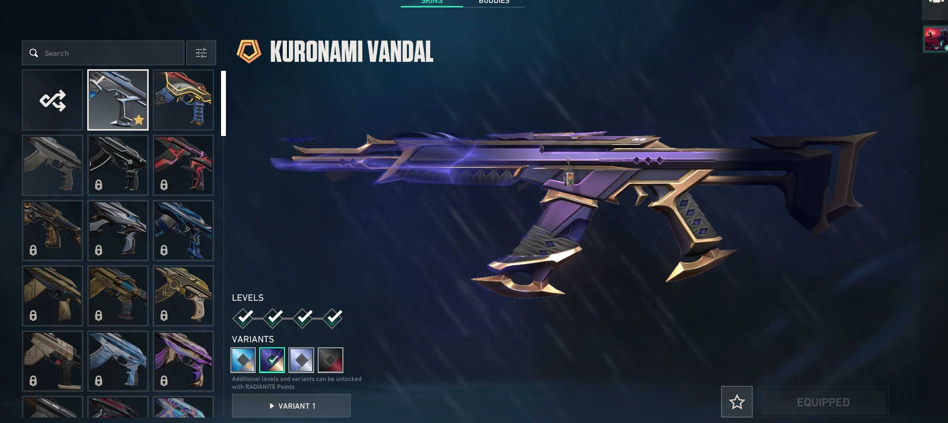 Valorant Account